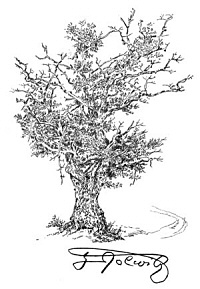 Bild "Pers&ouml;nlichkeiten:alteeiche.jpg"